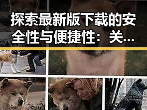 探索最新版下载的安全性与便捷性：关于色情软件最新版下载的分析