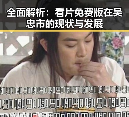 全面解析:看片免费版在吴忠市的现状与发展