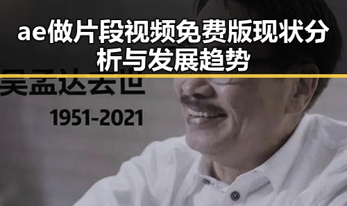 ae做片段视频免费版现状分析与发展趋势