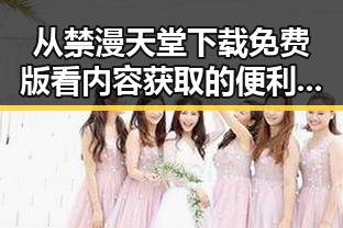 从禁漫天堂下载免费版看内容获取的便利性与风险