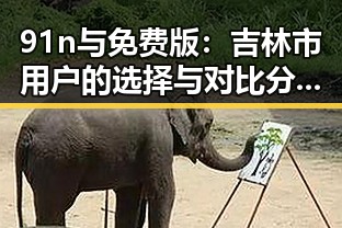 91n与免费版：吉林市用户的选择与对比分析