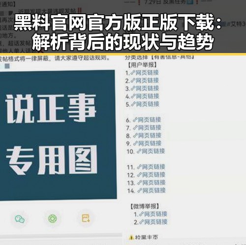 黑料 官网官方版正版下载：解析背后的现状与趋势