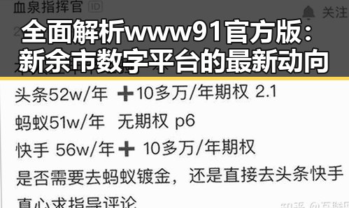全面解析www91官方版：新余市数字平台的最新动向