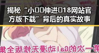 揭秘“小🐔🐔伸进🈲18网站官方版下载”背后的真实故事
