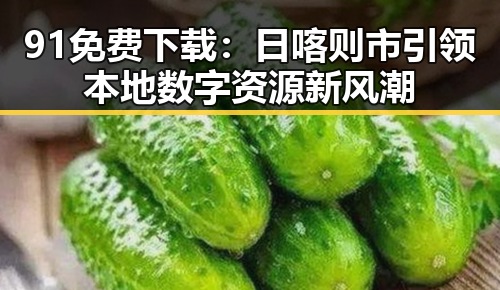 91免费下载：日喀则市引领本地数字资源新风潮